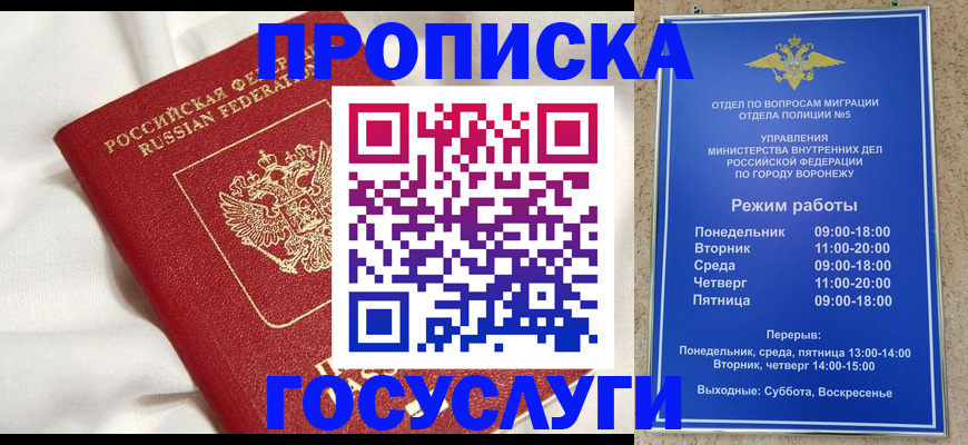 прописка в квартире в Шали